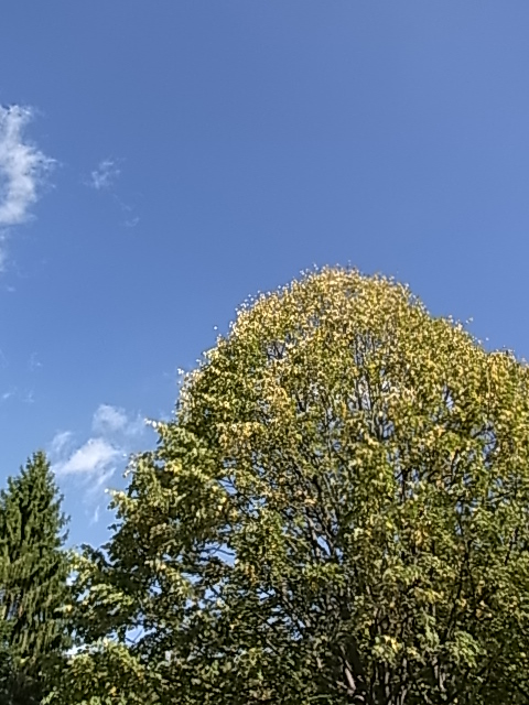 c0265631_1682528.jpg