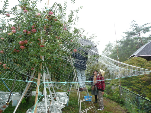 b0054936_22404352.jpg