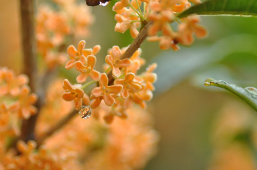 f0302638_20102263.jpg
