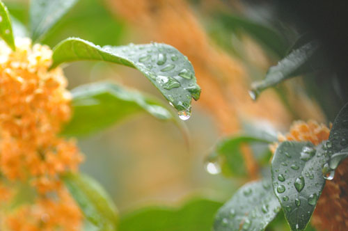 f0302638_2010236.jpg
