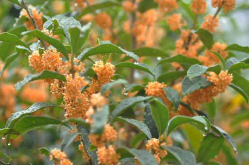 f0302638_20104944.jpg