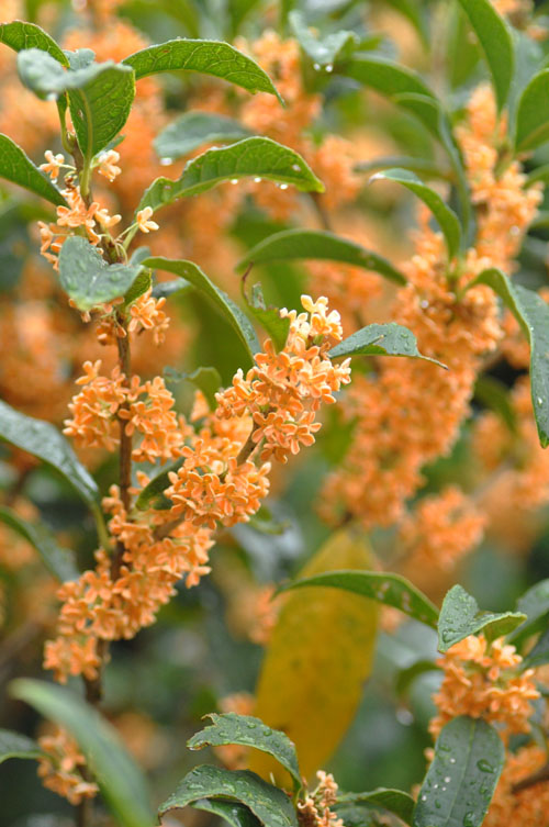 f0302638_20113295.jpg
