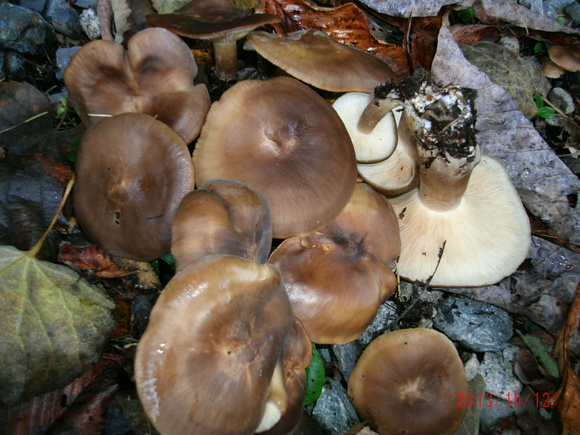 c0206739_22274310.jpg