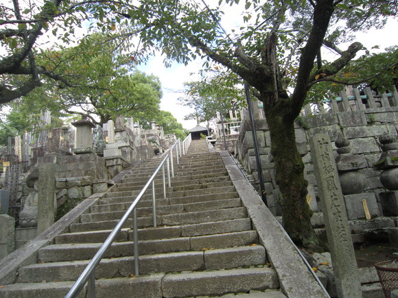 e0110940_23282793.jpg