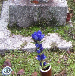 e0110940_23583243.jpg
