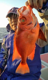 c0306546_20344748.jpg