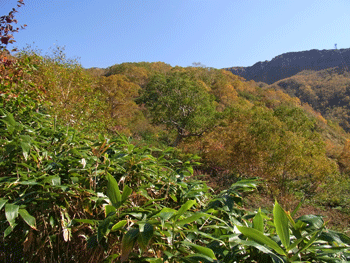 a0044453_16402258.gif
