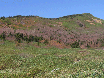 a0044453_16442649.gif