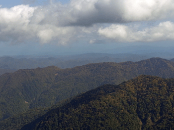 a0044453_16472513.gif