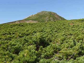 a0044453_16494381.gif