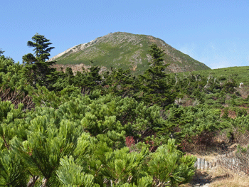 a0044453_1649755.gif