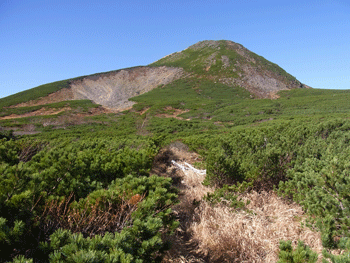 a0044453_16501050.gif