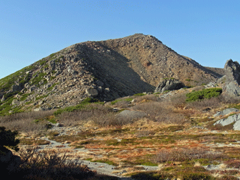 a0044453_16594976.gif