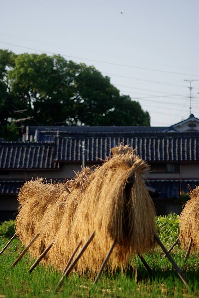 e0142357_13191.jpg