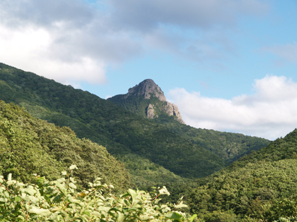 縫道石山