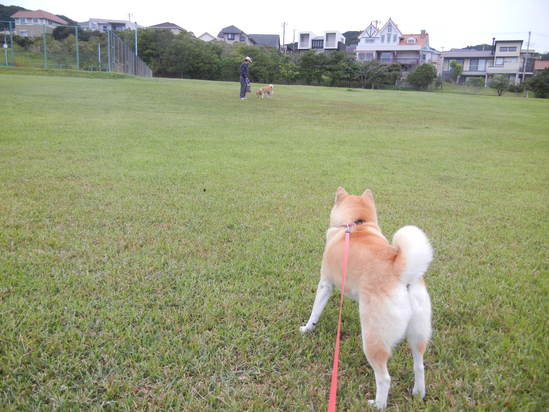 ’13,10,15(火)昨日・今日・明日!_f0060461_1041245.jpg
