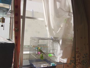 f0196665_8583522.jpg