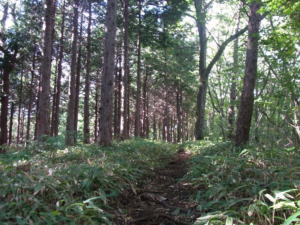 2013/09/28　城山　土俵岳_d0233770_21155585.jpg