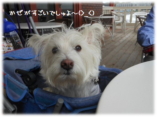 b0242873_142211.png