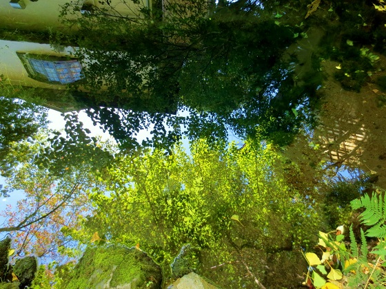 a0317576_14563649.jpg