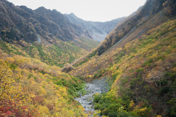 c0168986_2032396.jpg