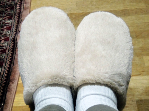 b0169987_20329.jpg