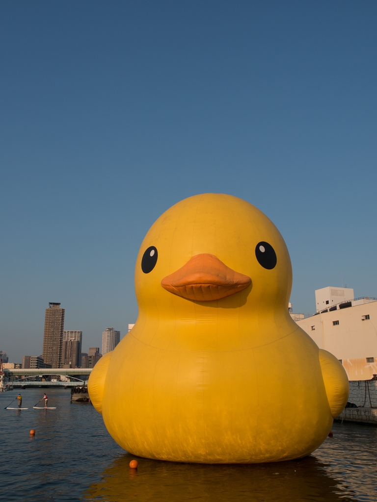 a0133692_0444265.jpg