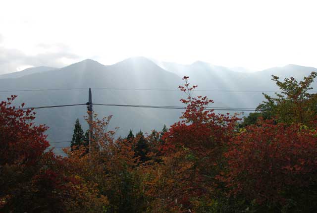 b0120492_18491826.jpg