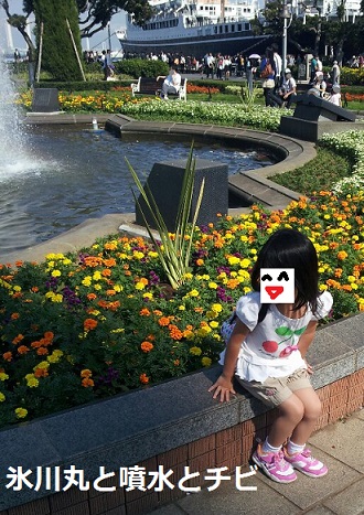 d0118293_15553058.jpg