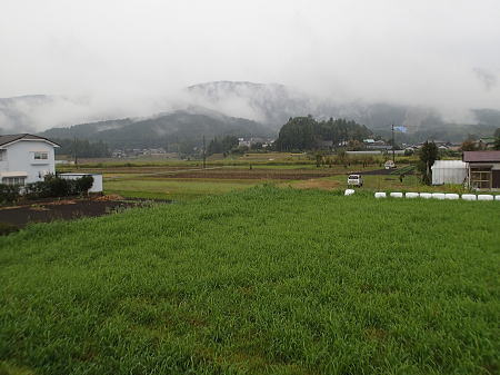 台風接近中！_a0026295_15402482.jpg