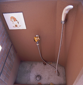 e0238095_1036365.jpg