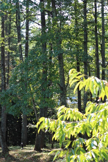 b0255896_2356914.jpg