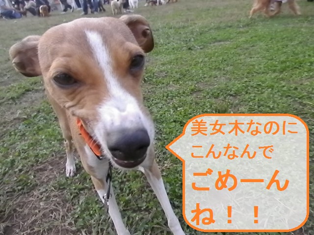 a0284997_1511132.jpg