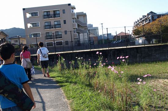 連休・・・①幼稚園の運動会！_a0065498_23104838.jpg