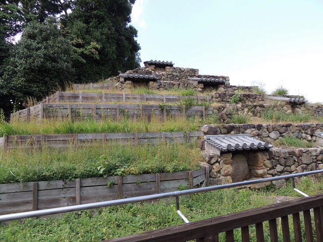 頭塔・小野邸･志賀邸･春日大社・ムクロジ・興福寺_d0261298_6181395.jpg