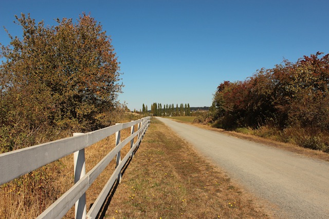 c0306400_2352264.jpg