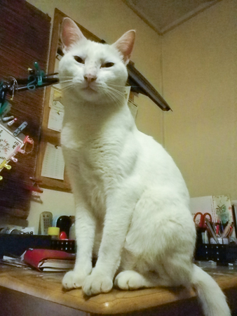 f0239100_2201765.jpg