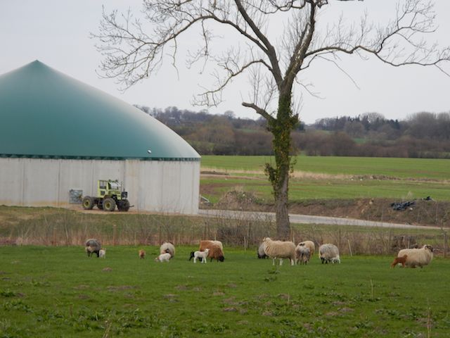 a0056401_5453313.jpg