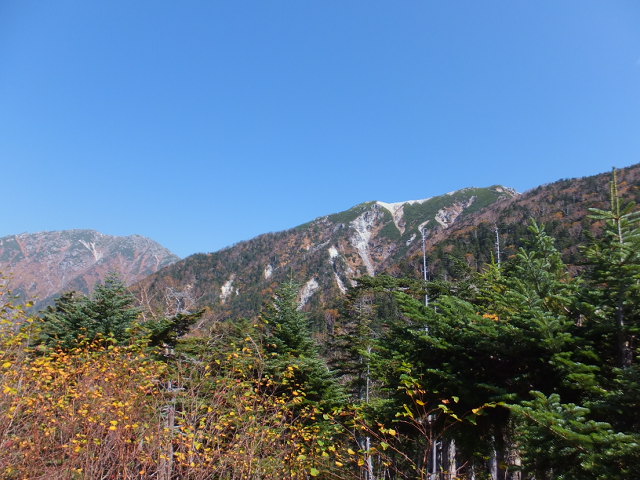 a0271502_1642437.jpg