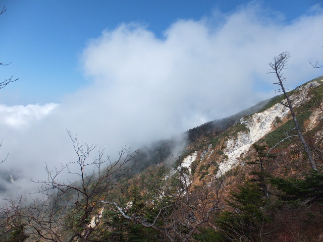 a0271502_165816100.jpg