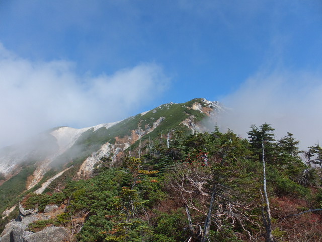 越百山（こすもやま）２　～越百小屋から山頂～_a0271502_171027.jpg