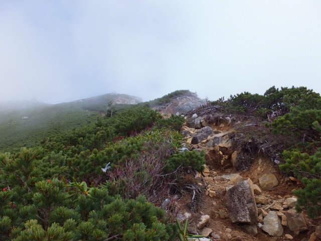 越百山（こすもやま）２　～越百小屋から山頂～_a0271502_1724186.jpg