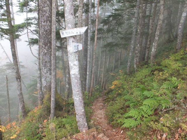 a0271502_17353912.jpg