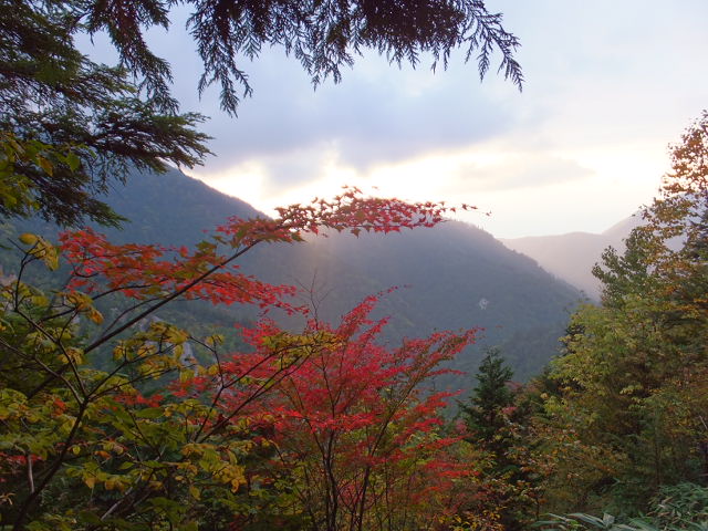 a0271502_17412787.jpg
