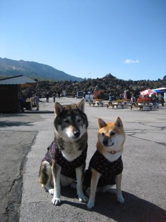 秋の群馬・長野旅②　～鬼押出し園～_f0079202_193518.jpg