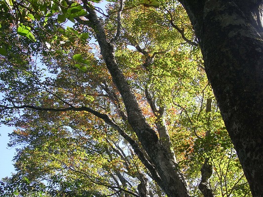 f0187402_2133335.jpg