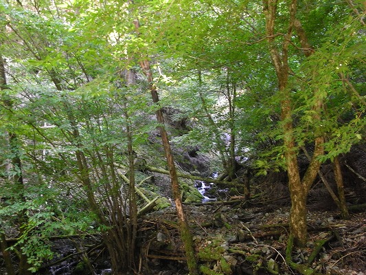 f0187402_21345520.jpg