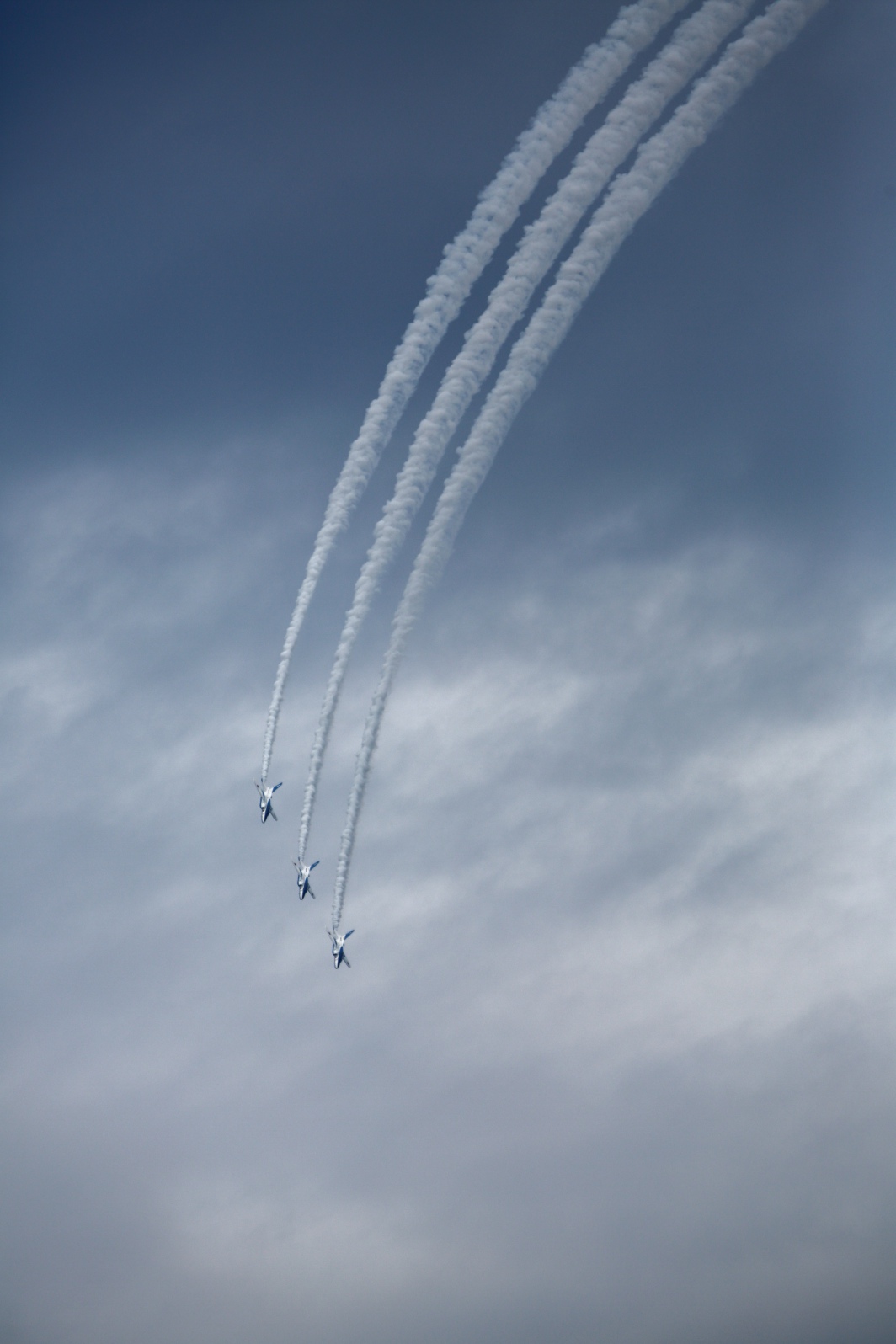a0155104_124969.jpg