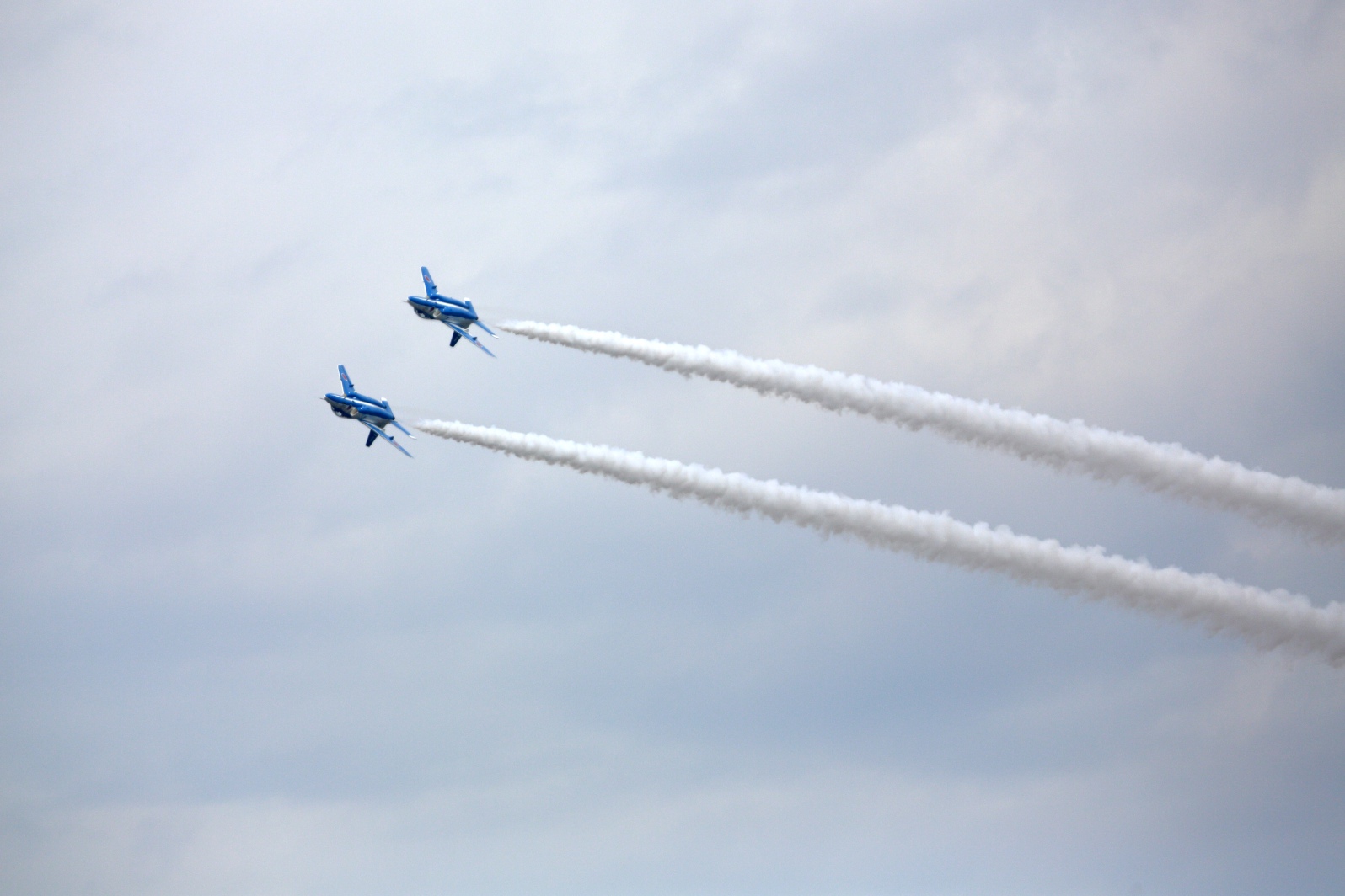 a0155104_125763.jpg