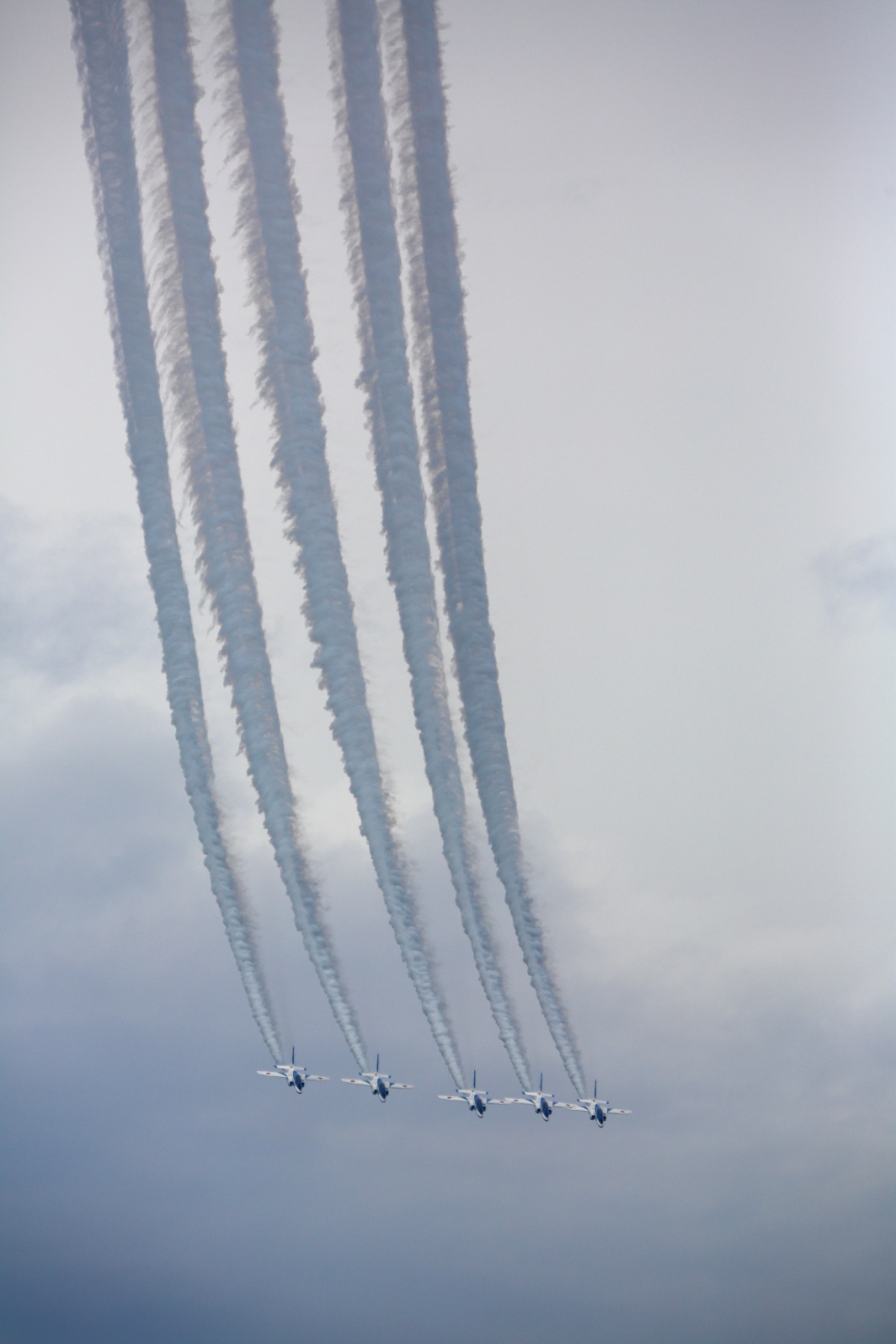 a0155104_131135.jpg